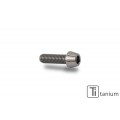 CNC Racing Universal Titanium Screw M5L16 (M5x16) CNC Racing Universal Titanium Screw M5L16 (M5x16)